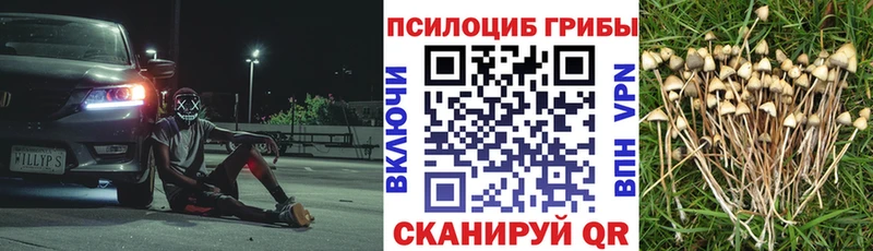 Галлюциногенные грибы Magic Shrooms Новоульяновск